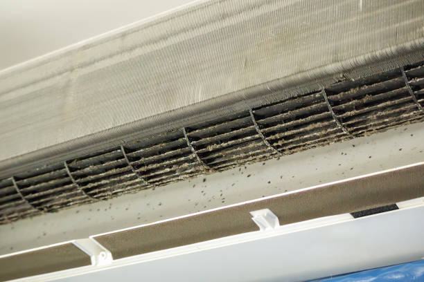 Best Best Air Duct Cleaning Near Me  in Loretto, TN